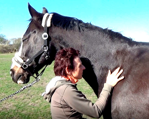 Massage vor der Schulter